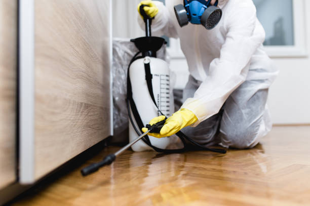 Trusted Eagleville, PA Pest Control Experts