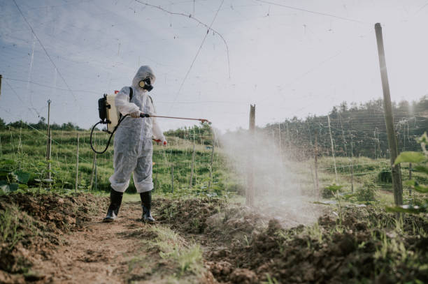Best Local Pest Control Services  in Eagleville, PA