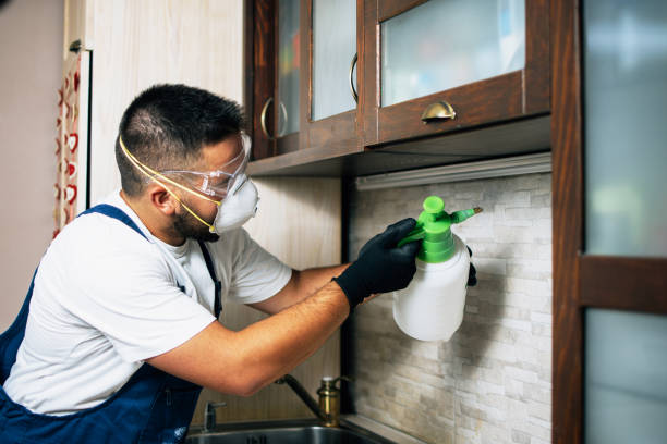 Best Residential Pest Control  in Eagleville, PA