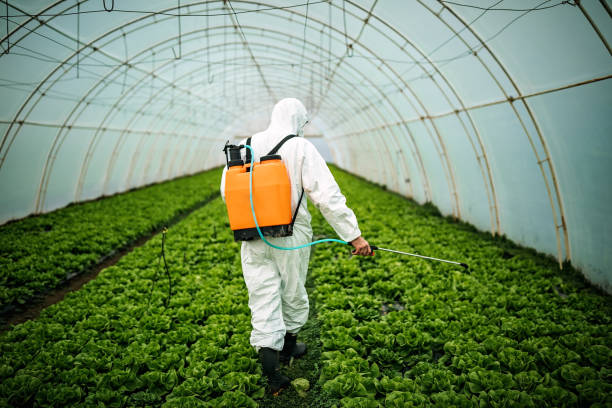 Best Pest Removal Services  in Eagleville, PA