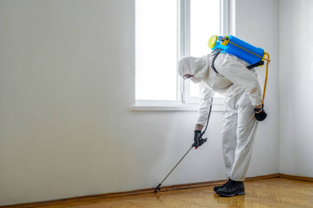 Best Mosquito Control Services  in Eagleville, PA