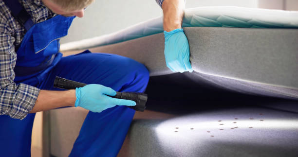 Best Affordable Pest Control Services  in Eagleville, PA
