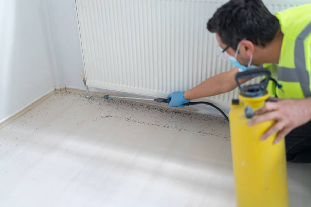 Best Pest Control Near Me  in Eagleville, PA