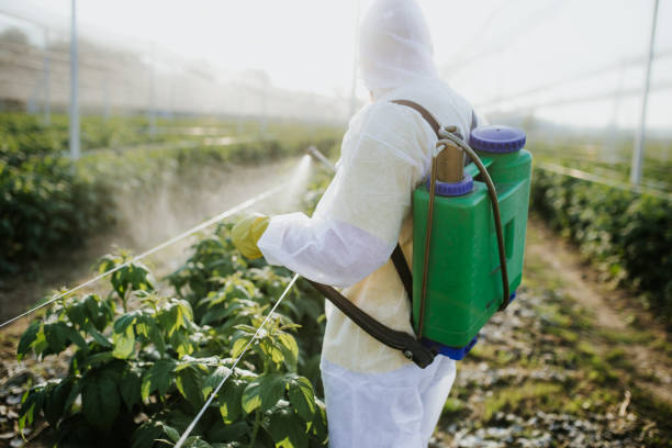 Best Pest Inspection Near Me  in Eagleville, PA